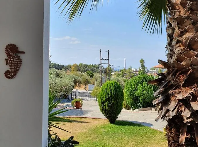 Pefko * Néos Marmarás